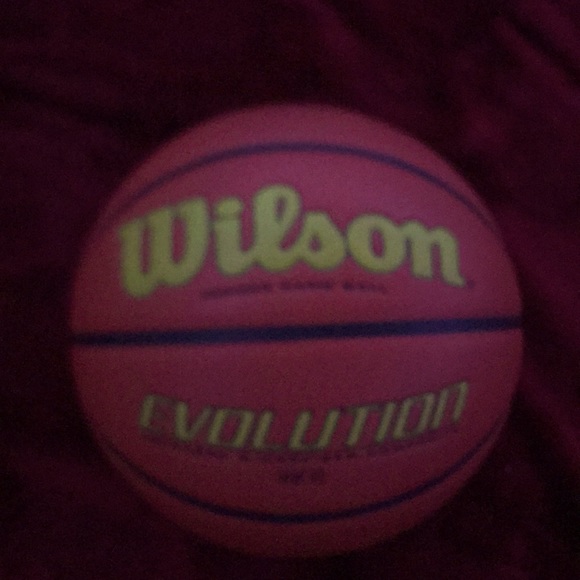 Wilson Evolution Indoor Game Ball - Picture 1 of 4